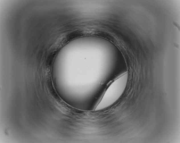 X0000095940601200801110856