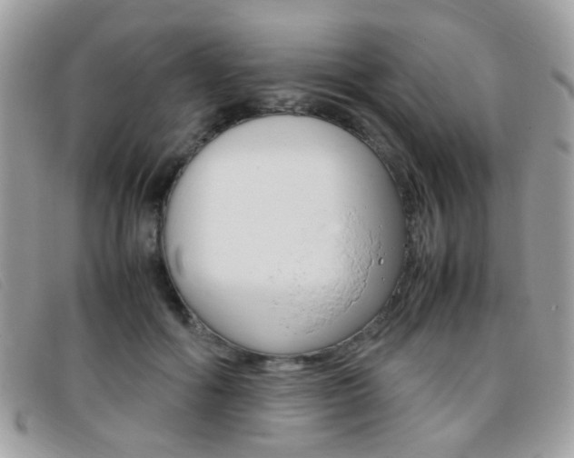 X0000095940602200801110856