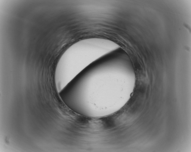 X0000095940603200801110856