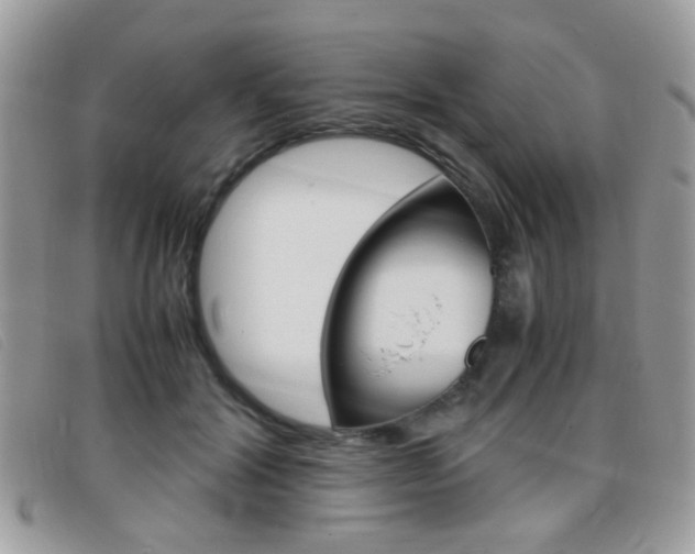 X0000095940604200801110856