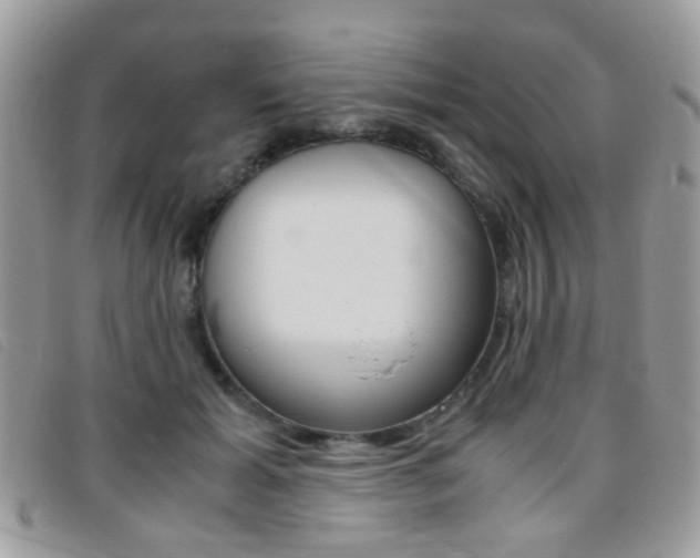 X0000095940605200801110856