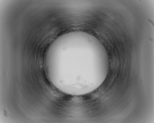 X0000095940606200801110856
