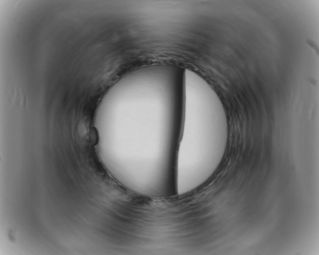 X0000095940608200801110856