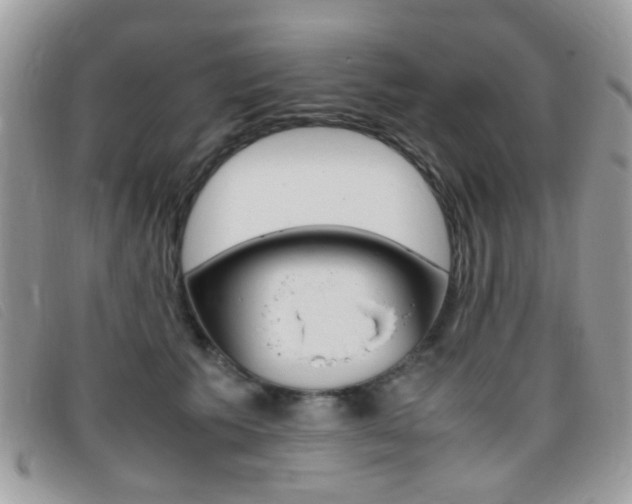 X0000095940609200801110856