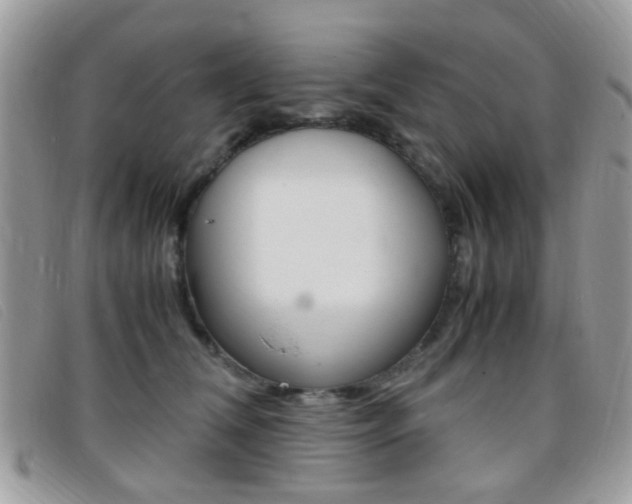 X0000095940612200801110856