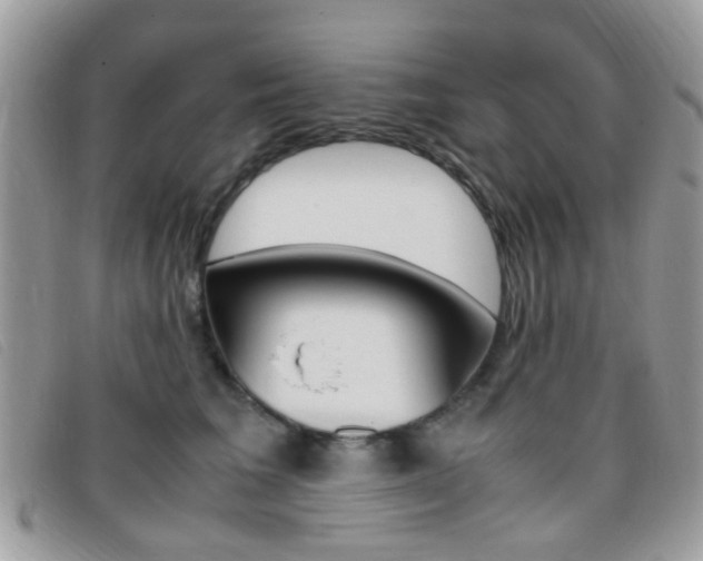 X0000095940613200801110856