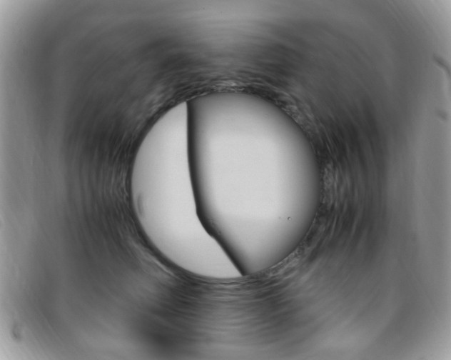X0000095940614200801110856