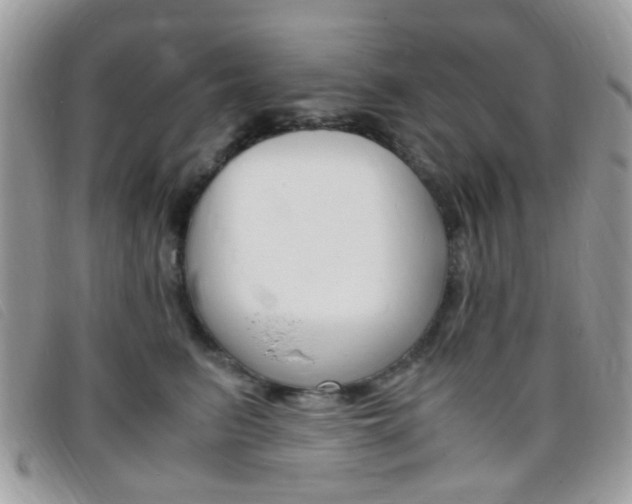 X0000095940615200801110856