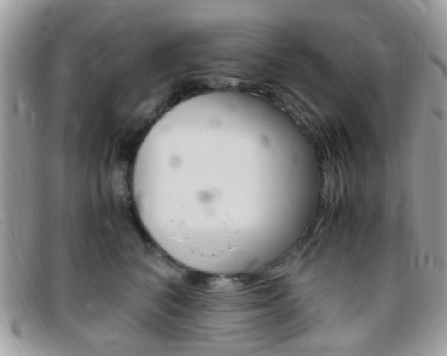X0000095940616200801110856
