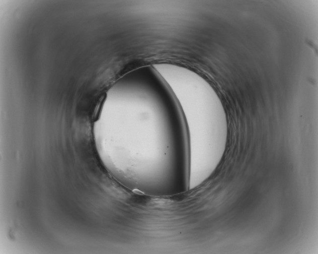 X0000095940617200801110856