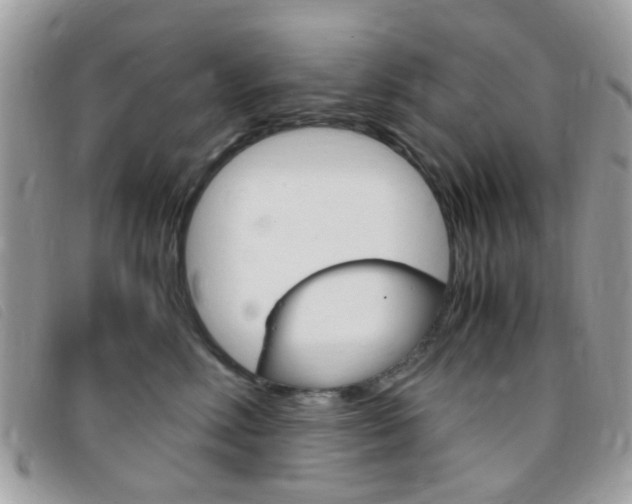 X0000095940618200801110856