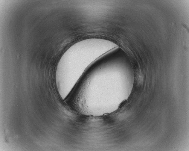 X0000095940619200801110856