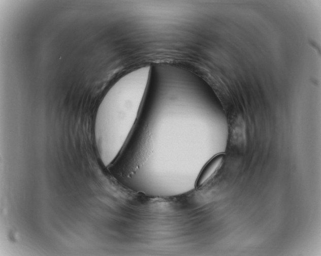 X0000095940620200801110856