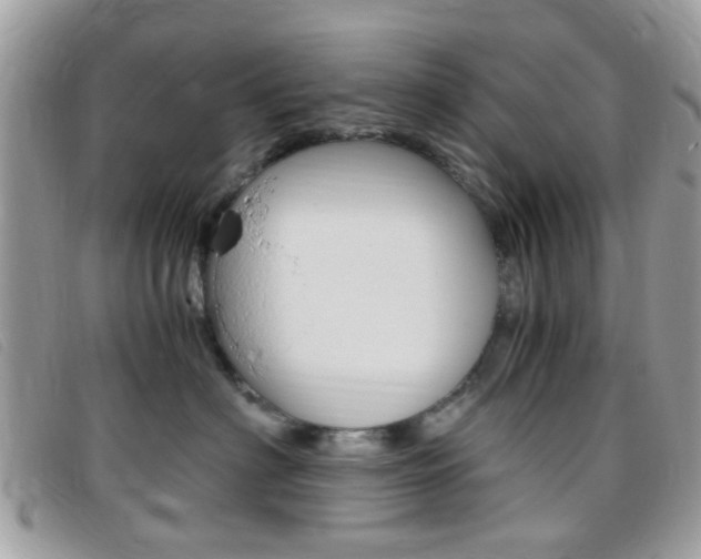 X0000095940622200801110856