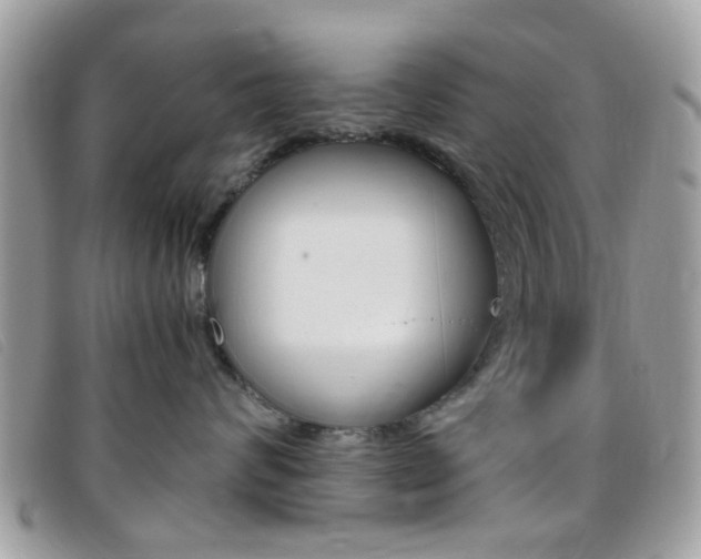 X0000095940624200801110856