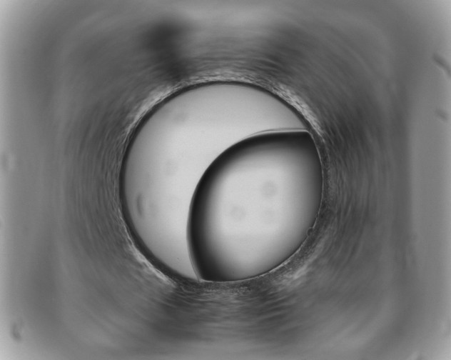 X0000095940625200801110855