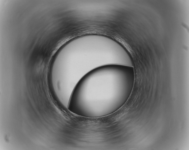 X0000095940626200801110855