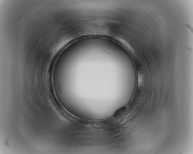 X0000095940627200801110855