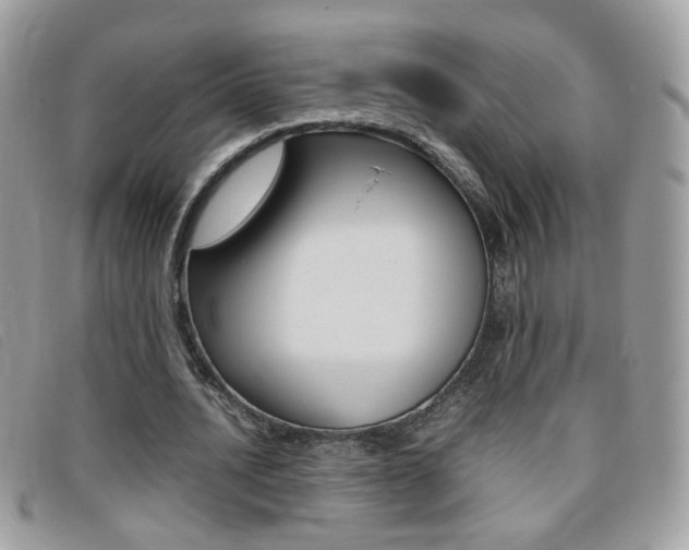X0000095940628200801110855