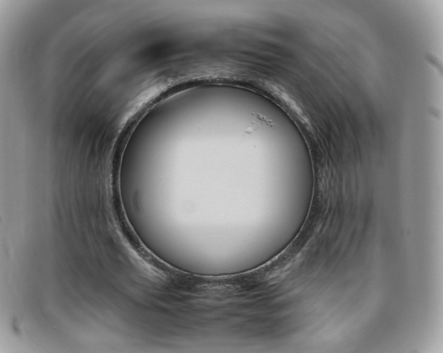 X0000095940629200801110855