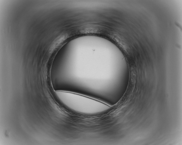 X0000095940631200801110855