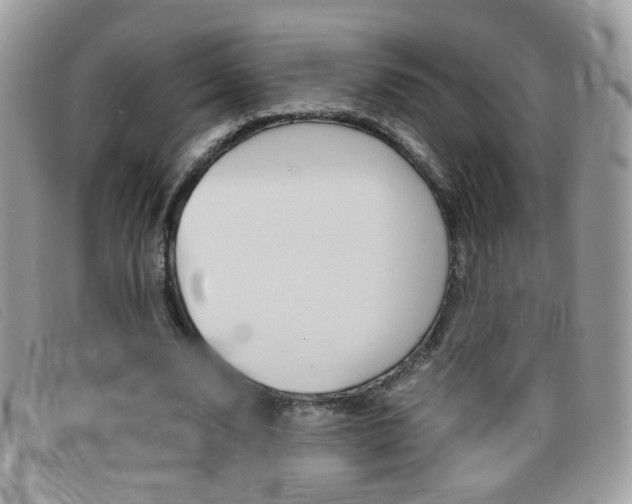 X0000095940632200801110855