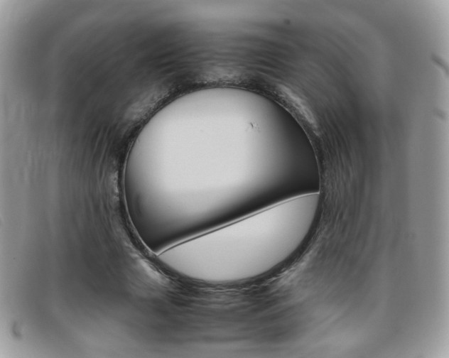 X0000095940633200801110855