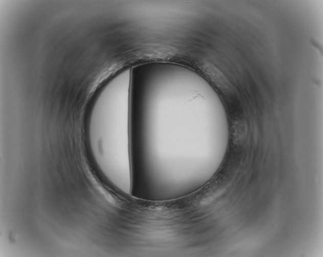 X0000095940634200801110855