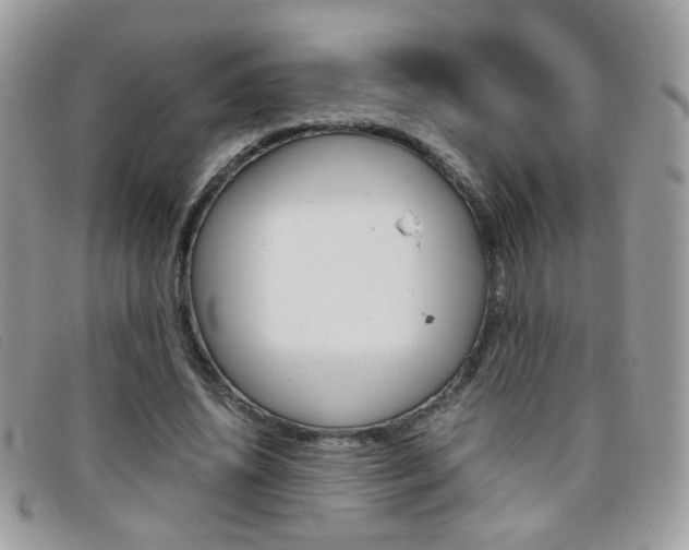 X0000095940636200801110855
