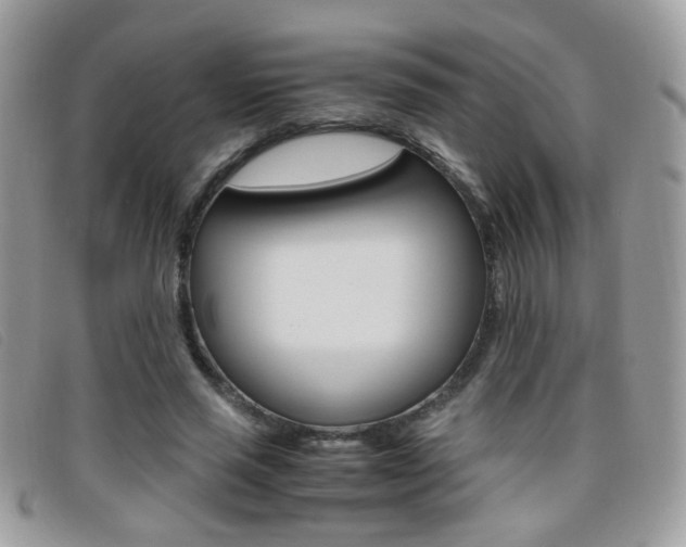 X0000095940637200801110855