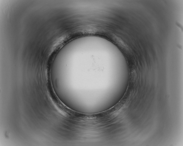 X0000095940638200801110855