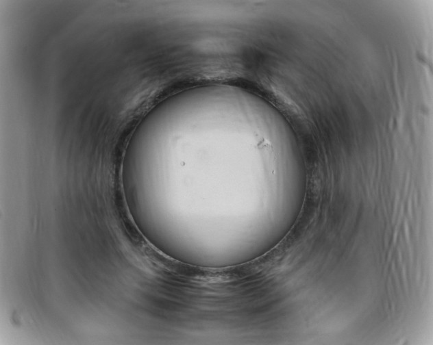 X0000095940639200801110855