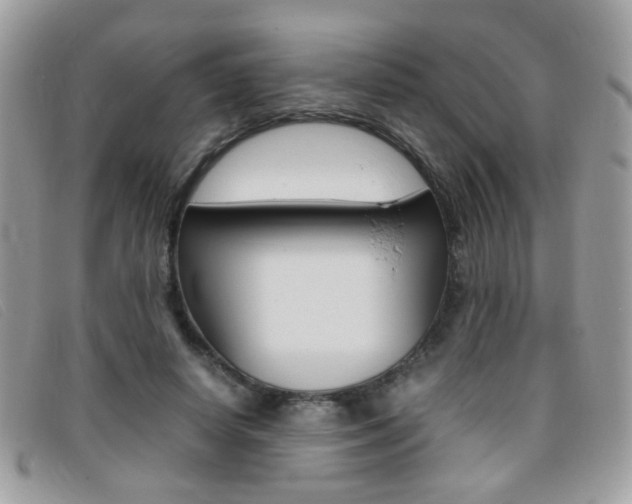 X0000095940642200801110855