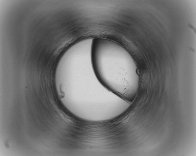 X0000095940644200801110855