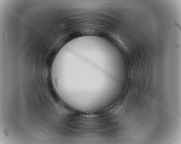 X0000095940645200801110855