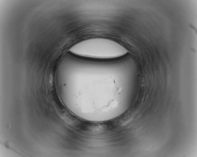 X0000095940646200801110855