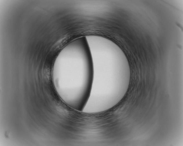 X0000095940648200801110855