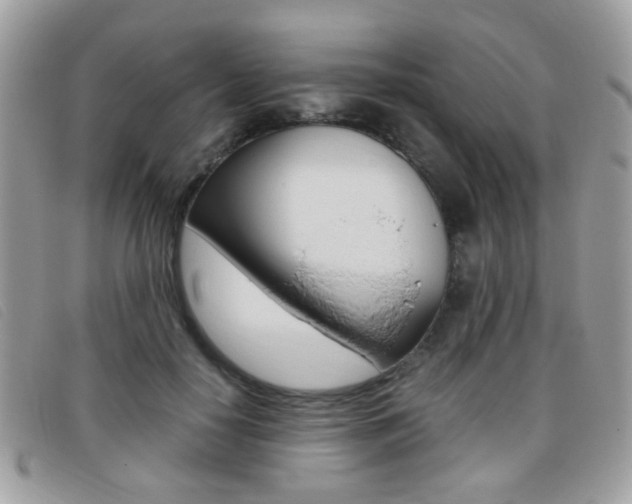 X0000095940650200801110855