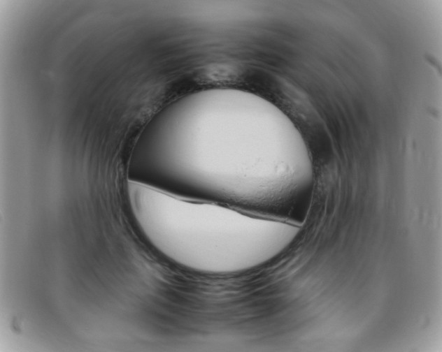 X0000095940651200801110855