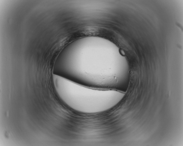 X0000095940652200801110855