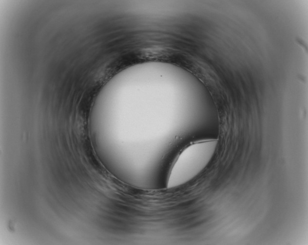 X0000095940653200801110855