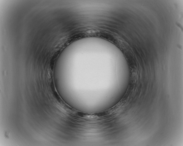 X0000095940654200801110855
