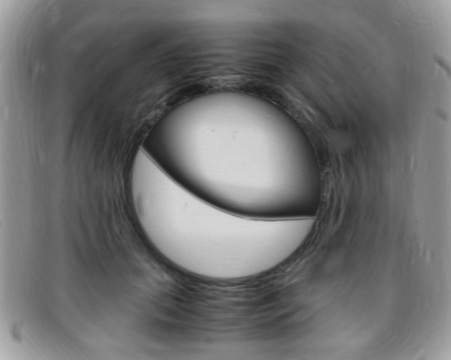 X0000095940655200801110855
