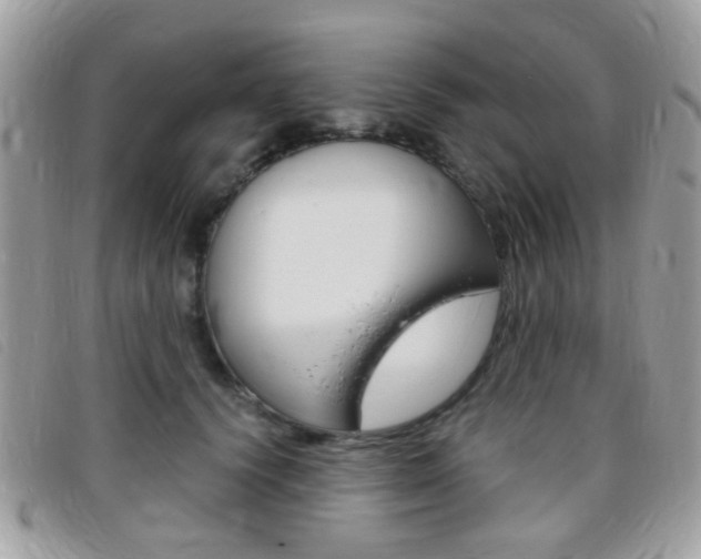 X0000095940656200801110855