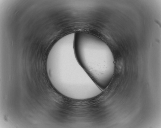 X0000095940657200801110855
