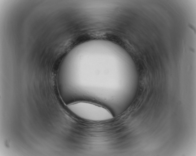 X0000095940658200801110855