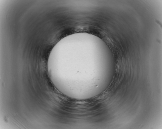 X0000095940659200801110855