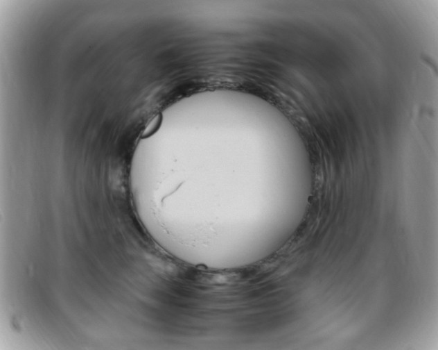 X0000095940663200801110856