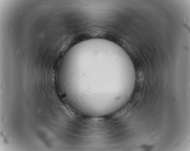 X0000095940664200801110856