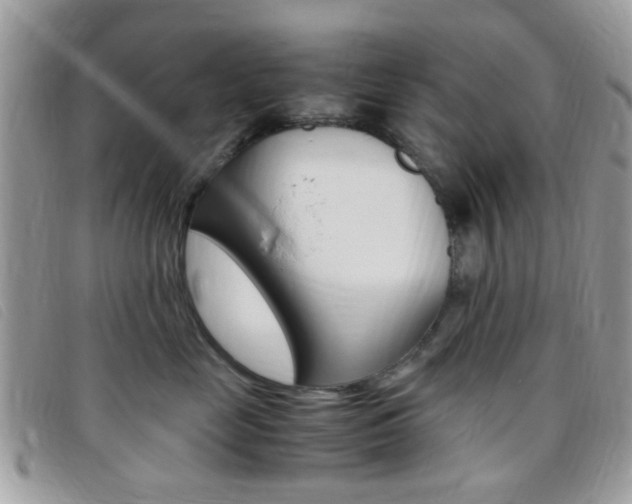 X0000095940669200801110856